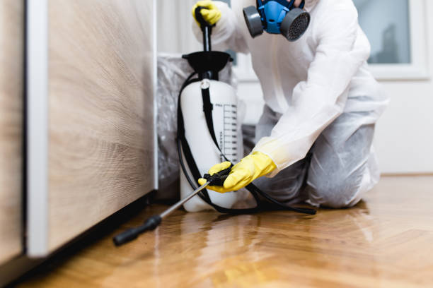 Best Mosquito Control Services  in Mesa, AZ
