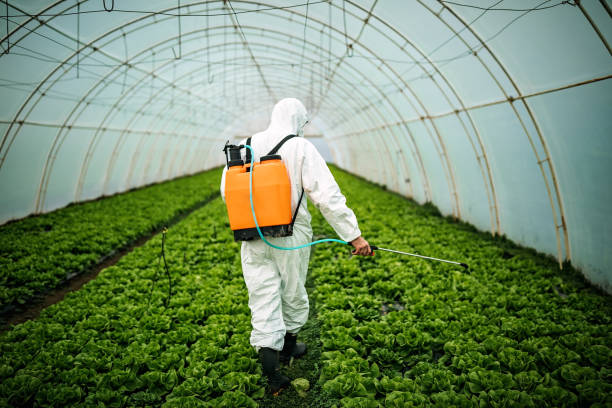 Professional Pest Control in Mesa, AZ