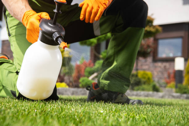 Best Affordable Pest Control Services  in Mesa, AZ
