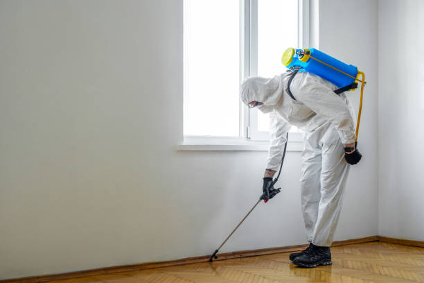 Best Local Pest Control Services  in Mesa, AZ