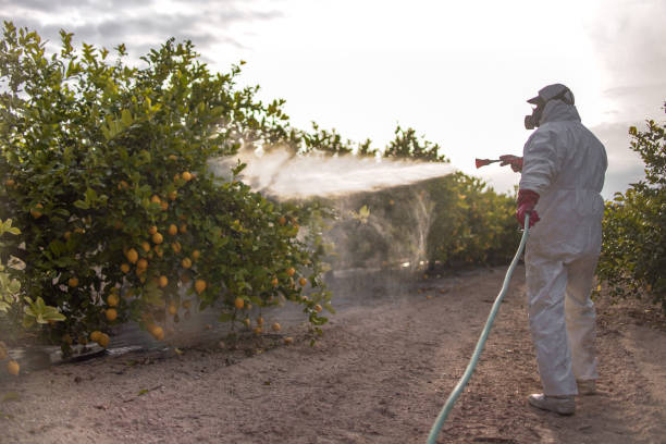 Best Best Pest Control Companies  in Mesa, AZ