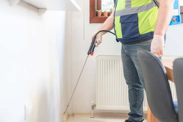 Best Ant Control Services  in Mesa, AZ