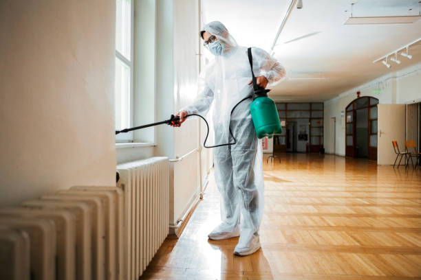 Pest Prevention Services in Mesa, AZ
