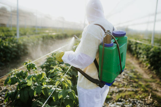 Best Pest Prevention Services  in Mesa, AZ